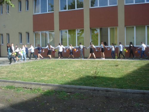 Şcoala Gimnaziala Petreşti