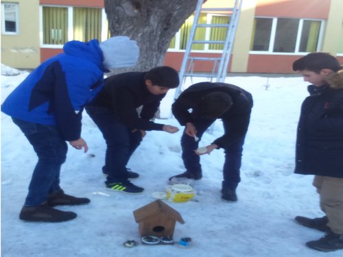 Şcoala Gimnaziala Petreşti
