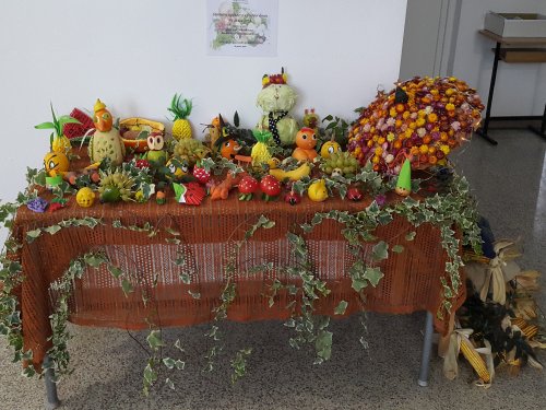 Şcoala Gimnaziala Petreşti